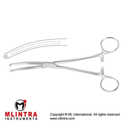 Maingot Hysterectomy Forcep Curved - 1 x 2 Teeth Stainless Steel, 25 cm - 9 3/4"